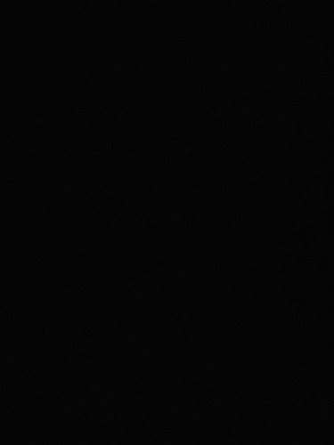 1000003247.jpg