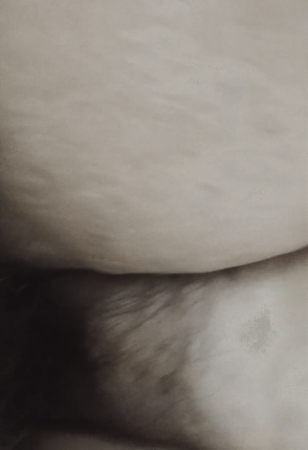 Screenshot_2024_1122_085019.gif