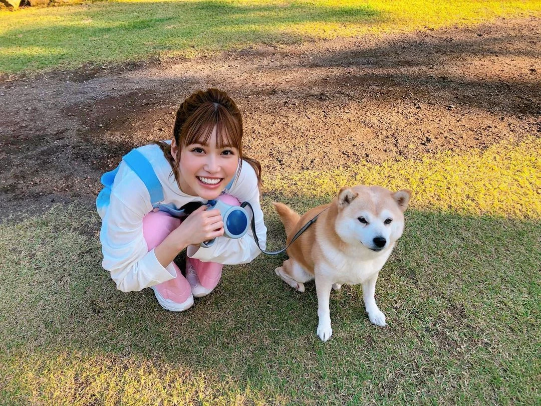 32018073.avif.jpg