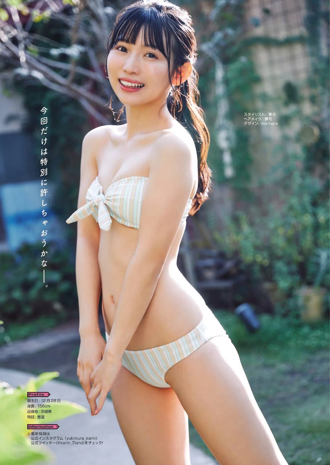 32018428.avif.jpg