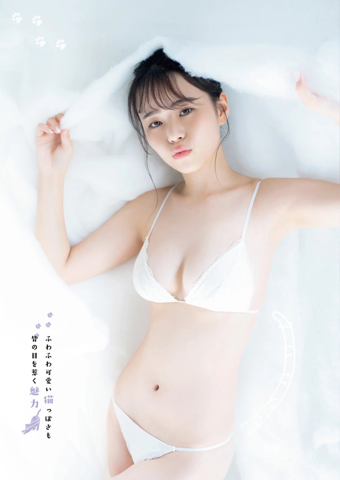 31991612.avif.jpg