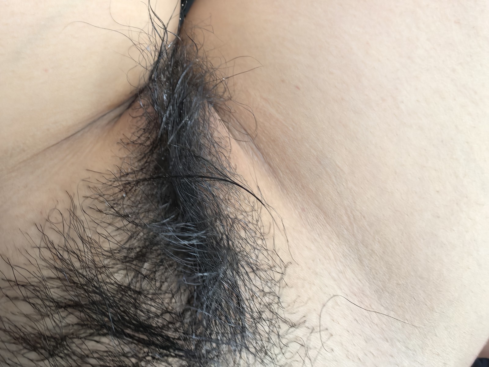 由手机上传