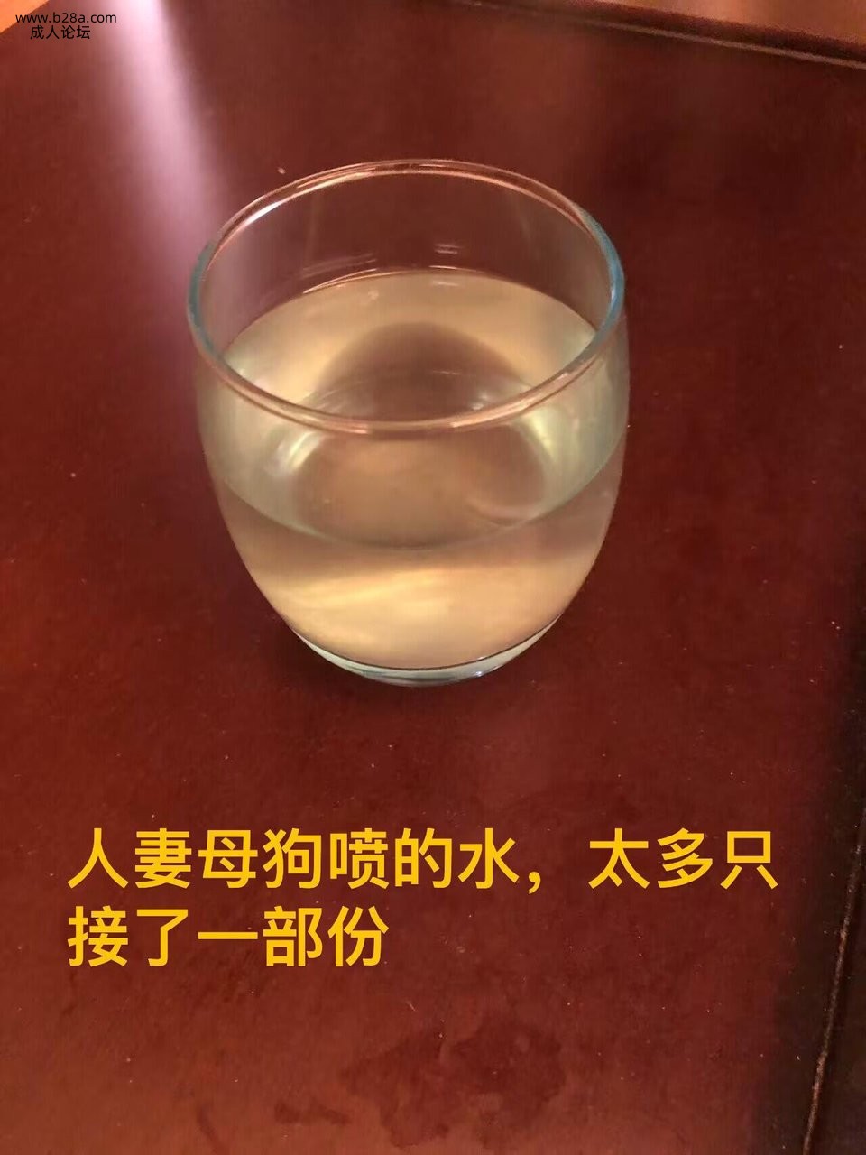 9684bf5e75b744a4ada8c091a4ee404b.jpg.jpg