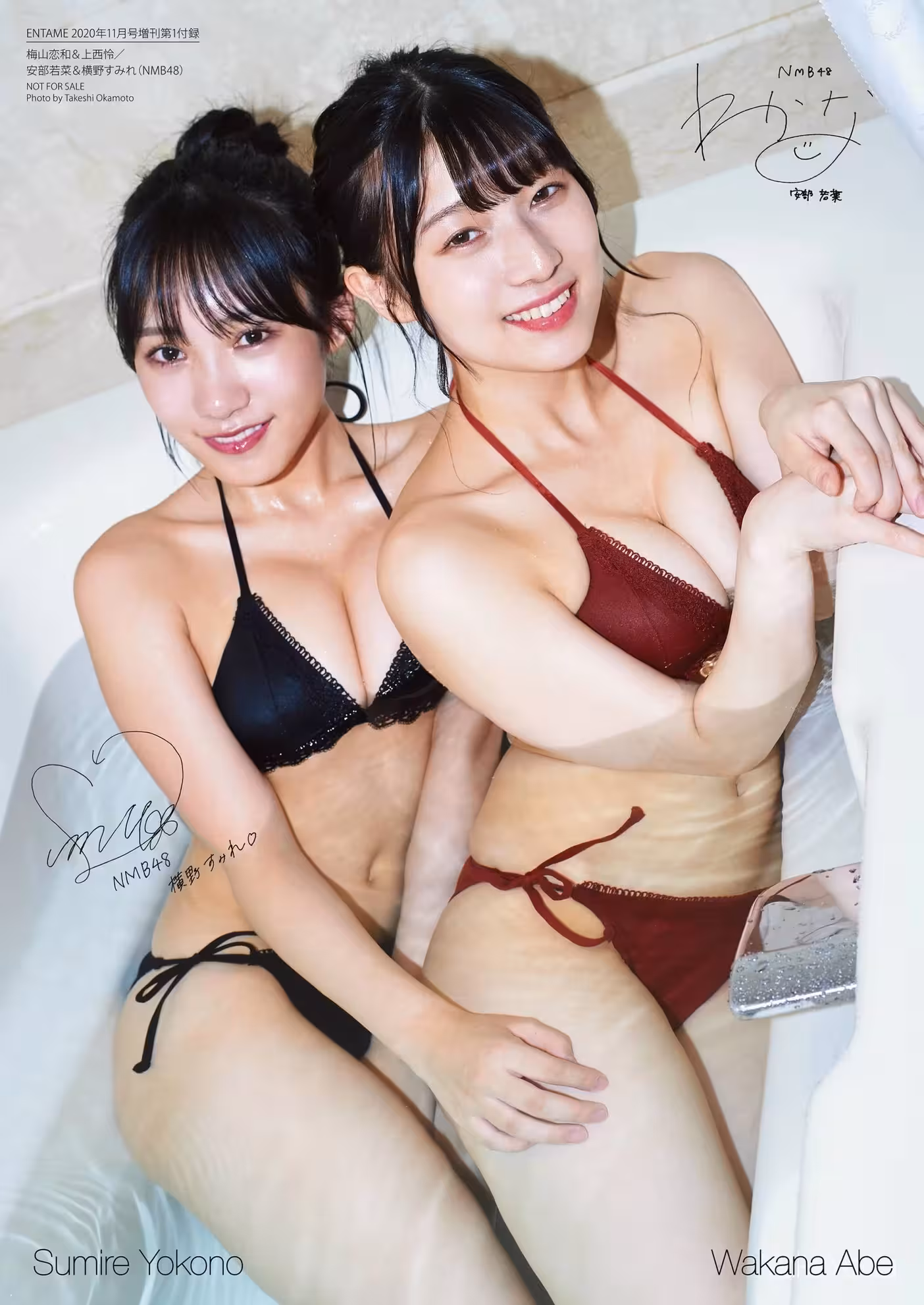 31919221.avif.jpg