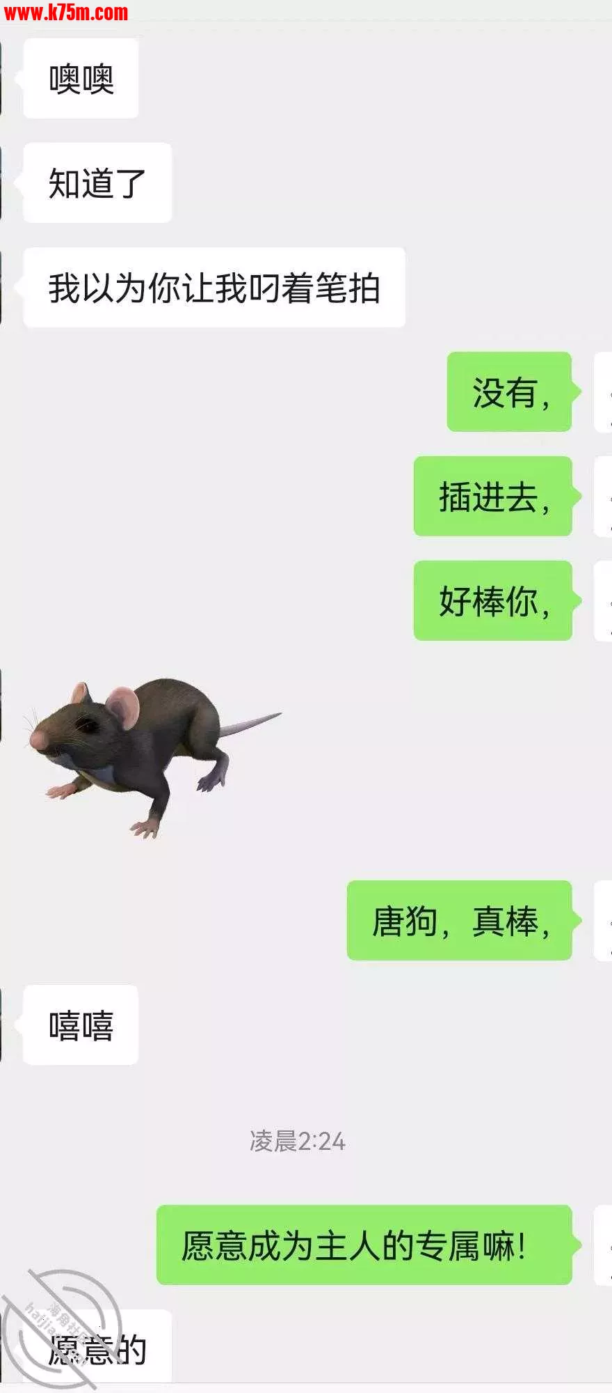image.webp