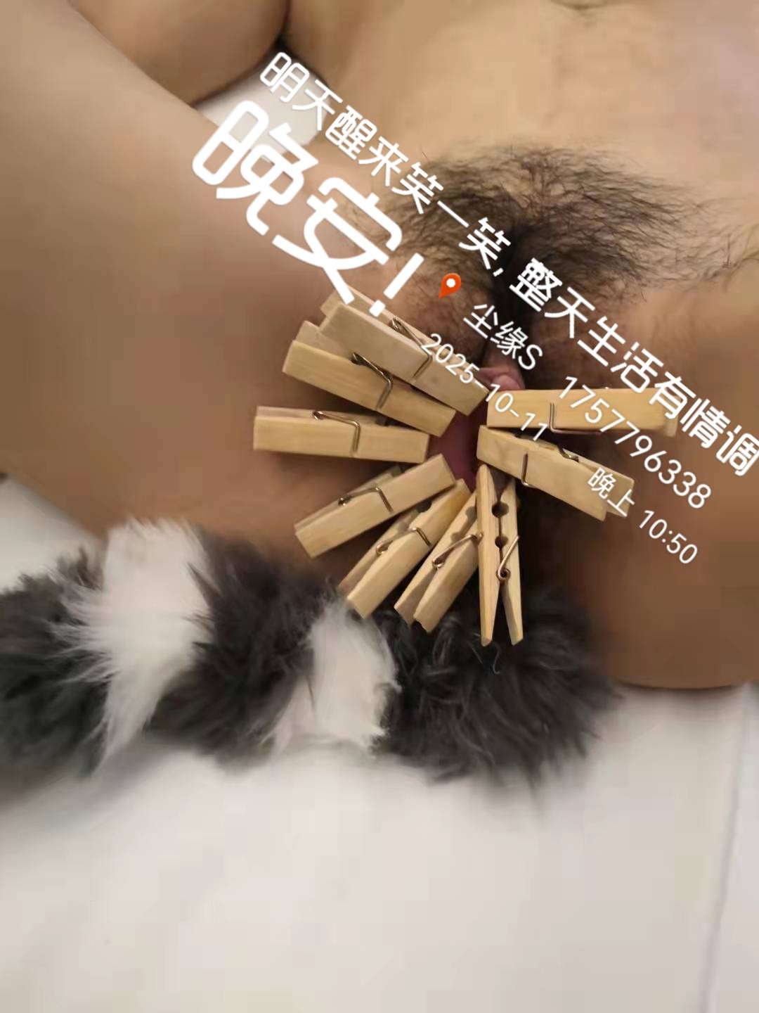 由手机上传