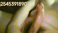 gt_2026415_44456_g_crop.gif