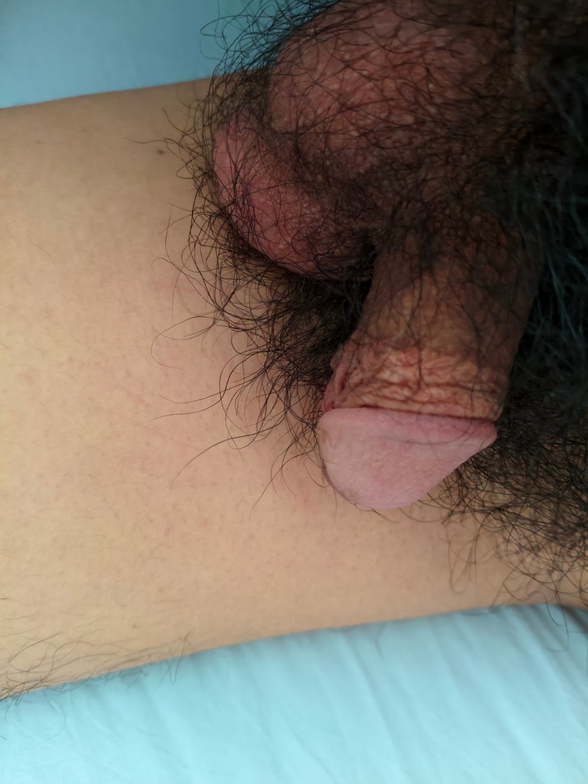 由手机上传