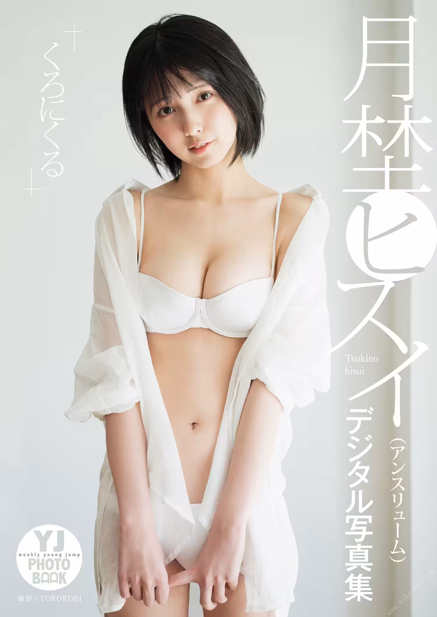 32393401.avif.jpg