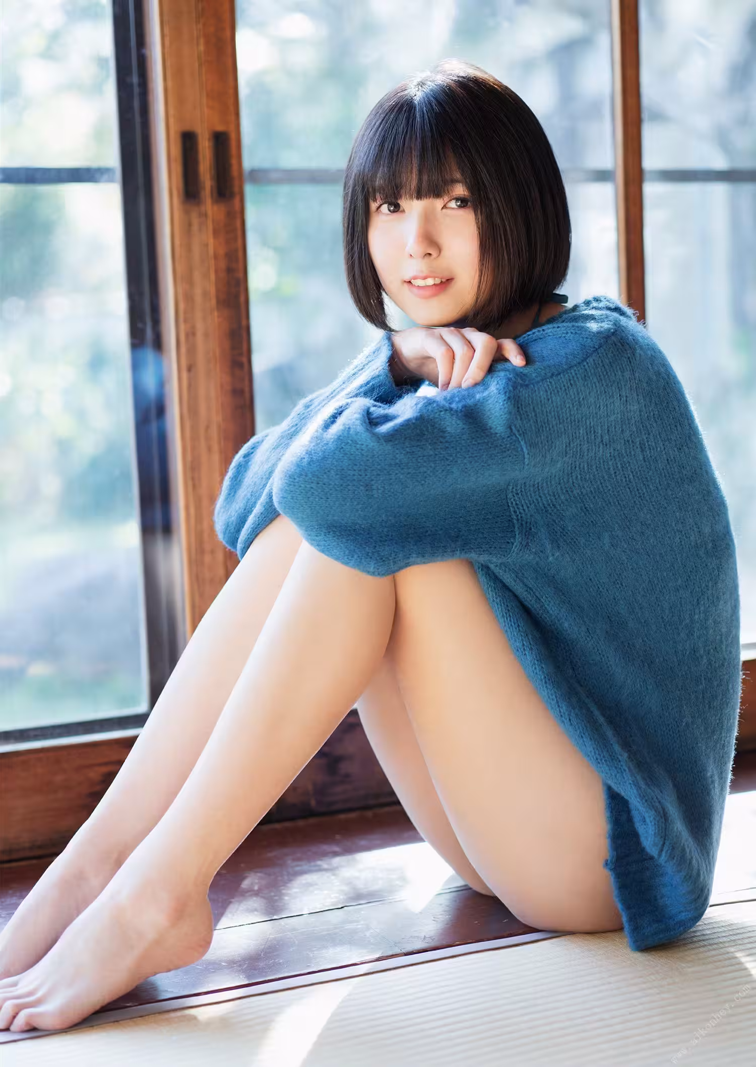 32393402.avif.jpg