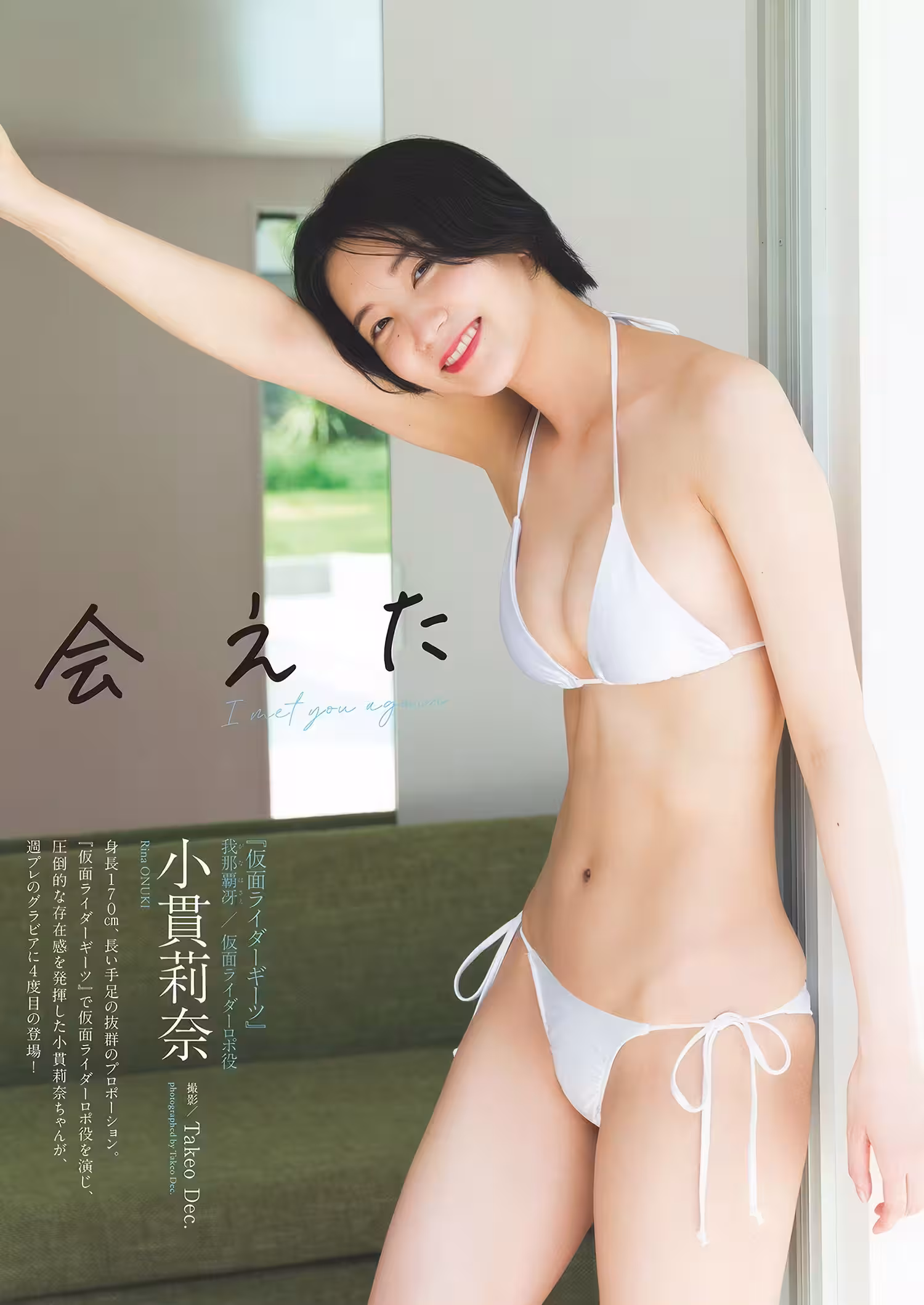 32393233.avif.jpg