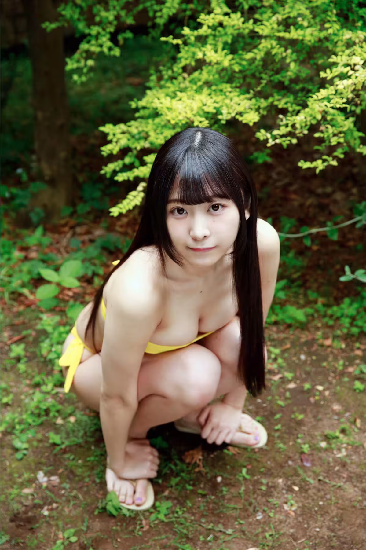 32336872.avif.jpg