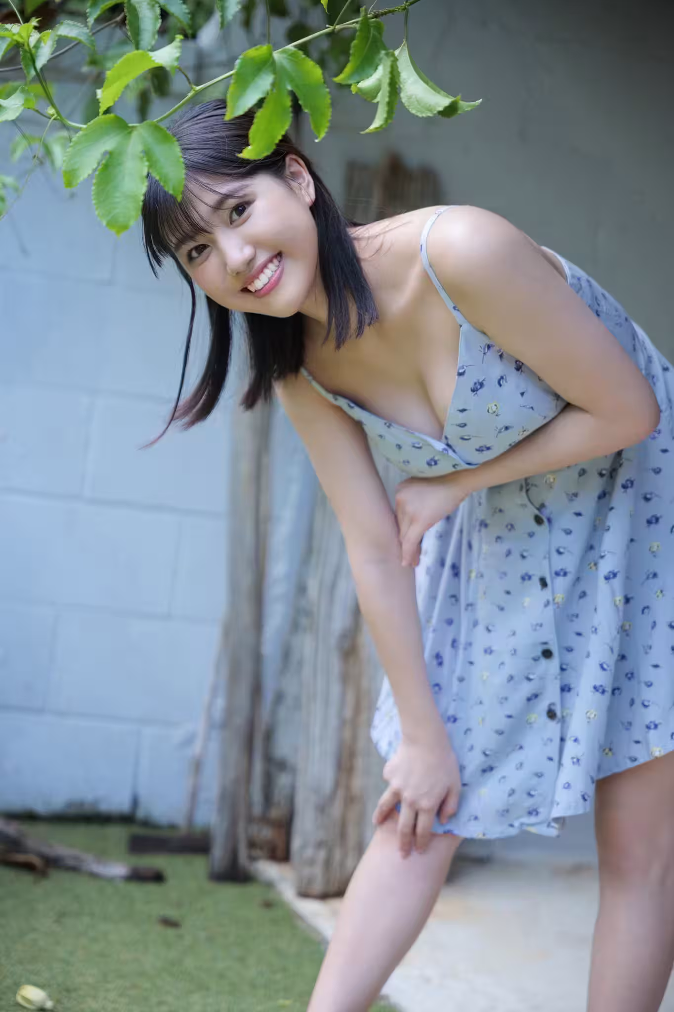 32323696.avif.jpg