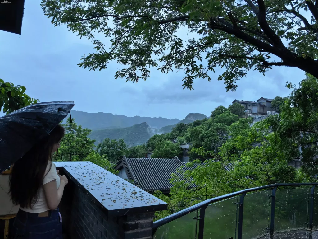 6a216cc7c890e.webp.jpg