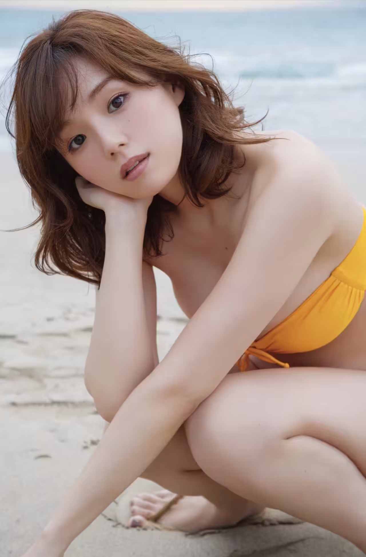 32323661.avif.jpg
