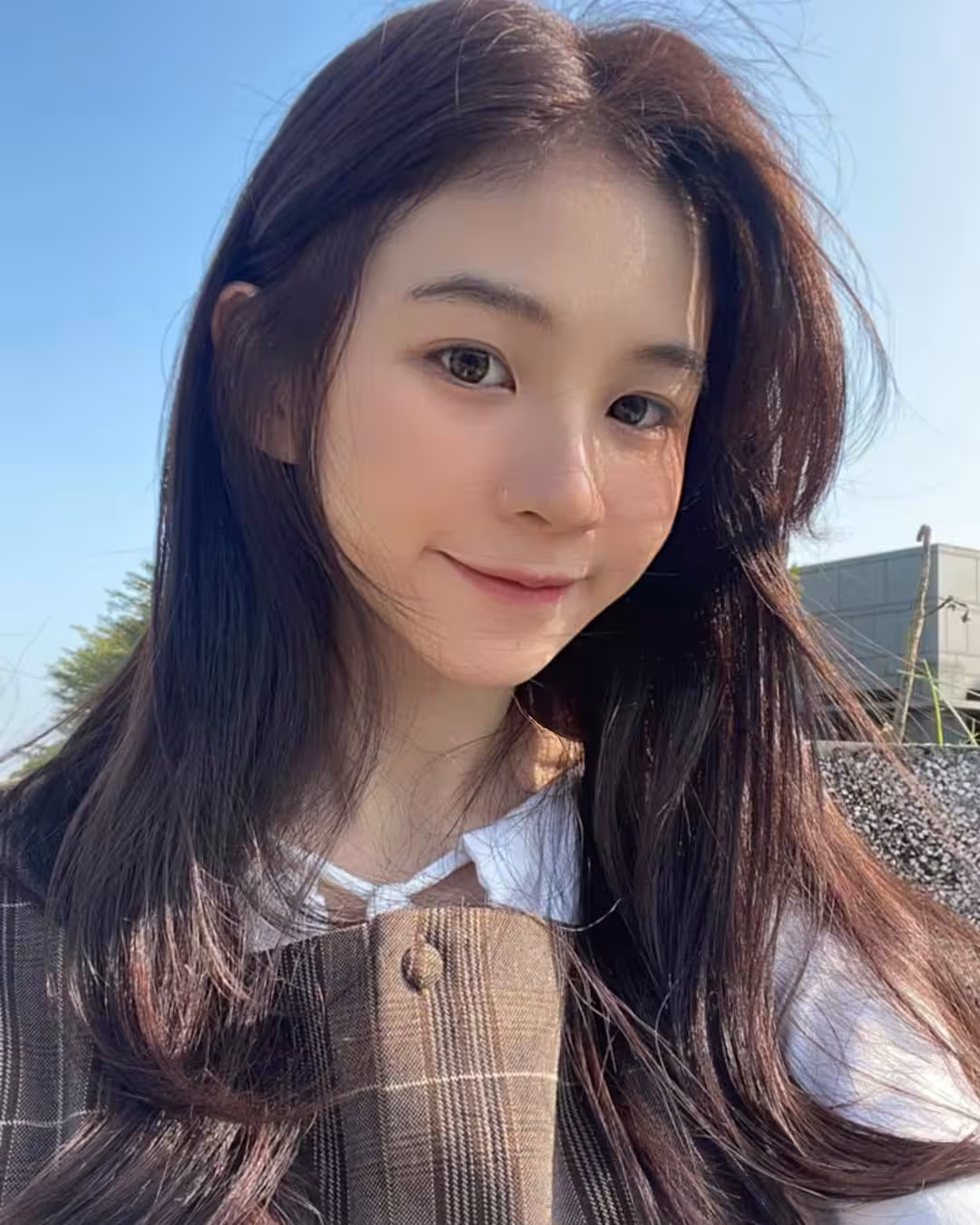 32811881.avif.jpg