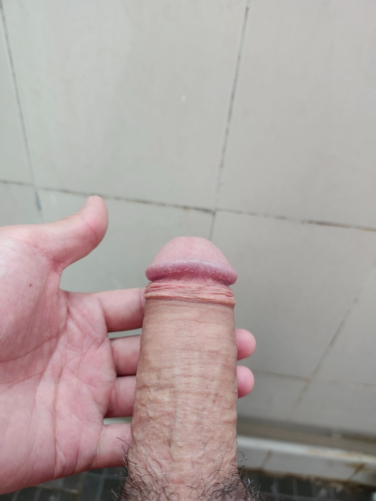 由手机上传