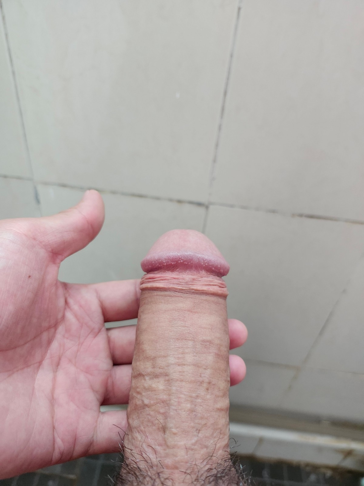 由手机上传