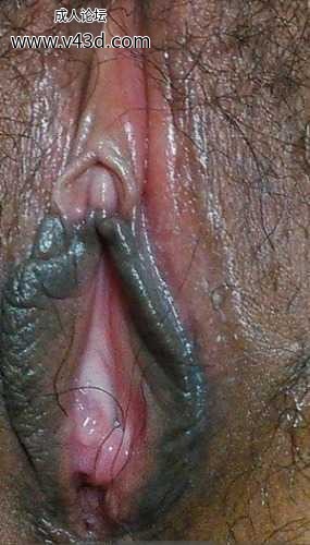 152030v9lbxvc1xghg2eea.jpg