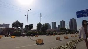 大胆露出无视路人 勾引老头
