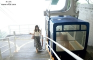 花有清香