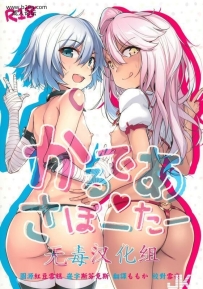 wakamakerワカメさんかるであさぽーたーFateGrandOrder中国翻訳