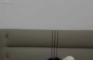 小狗自慰
