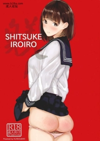SHITSUKE IROIRO