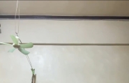 #小鲜肉2