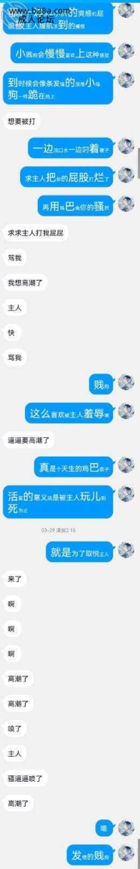 新人报道帖