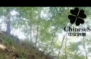 和大叔二叔一起爬山 露出户外
