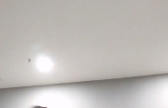 #直播【#召财】清纯学生妹 机敏植物！骚舞诱惑~扒穴自慰特写