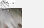 调教23岁东北母狗 1