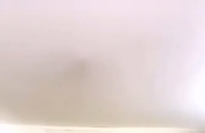 少妇 母狗 直播