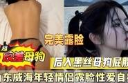 最新泄密！山东威海年轻情侣墨脸性爱自拍
