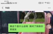 不要轻易尝试