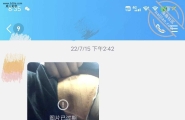 网调母狗