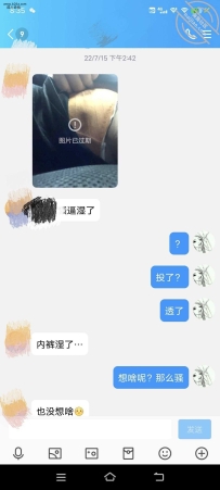 网调母狗