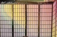 #极品人妖少女