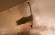隔壁人妻借洗手间被屌丝男强奸 #强奸